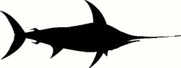 Water (8) vinyl decal